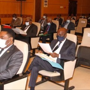 Le Sénat gabonais appuie la dépénalisation de l’homosexualité
